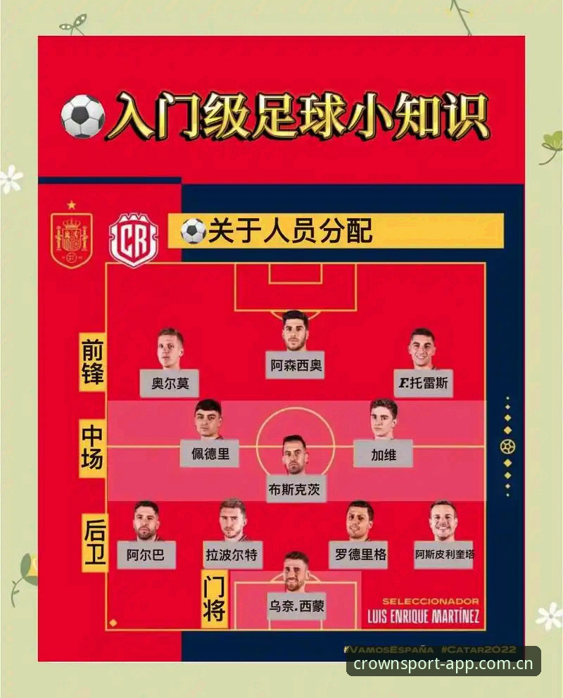 世界杯观赛受阻教程：如何应对签证危机并安心体验赛事